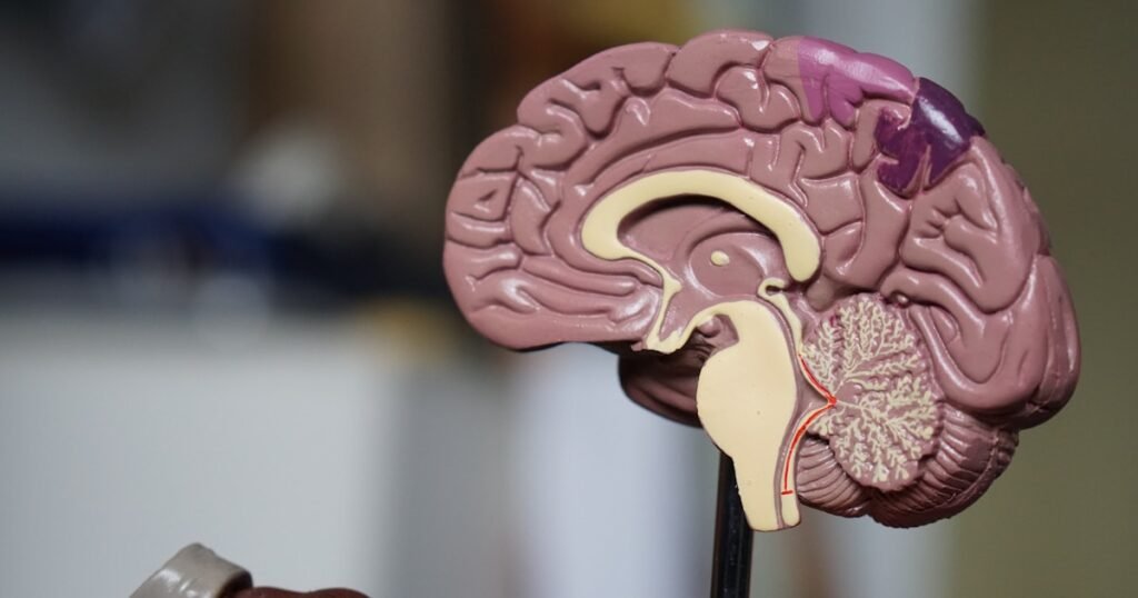 Brain Microproteins: The ‘Dark Proteome’ in Alzheimer’s